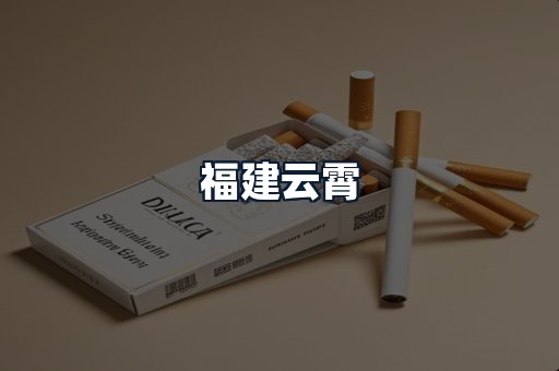 福建云霄